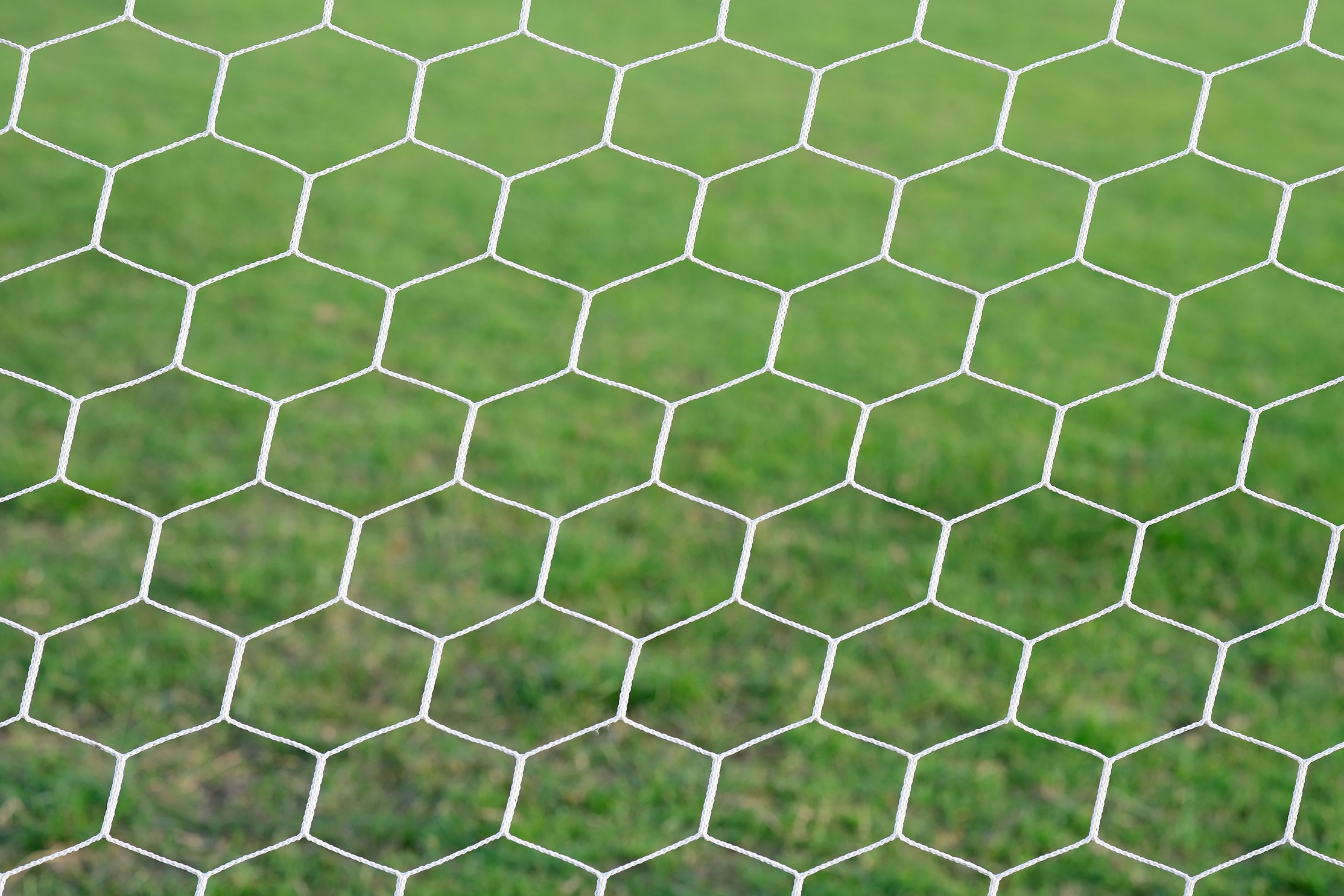 Soccer goal net.